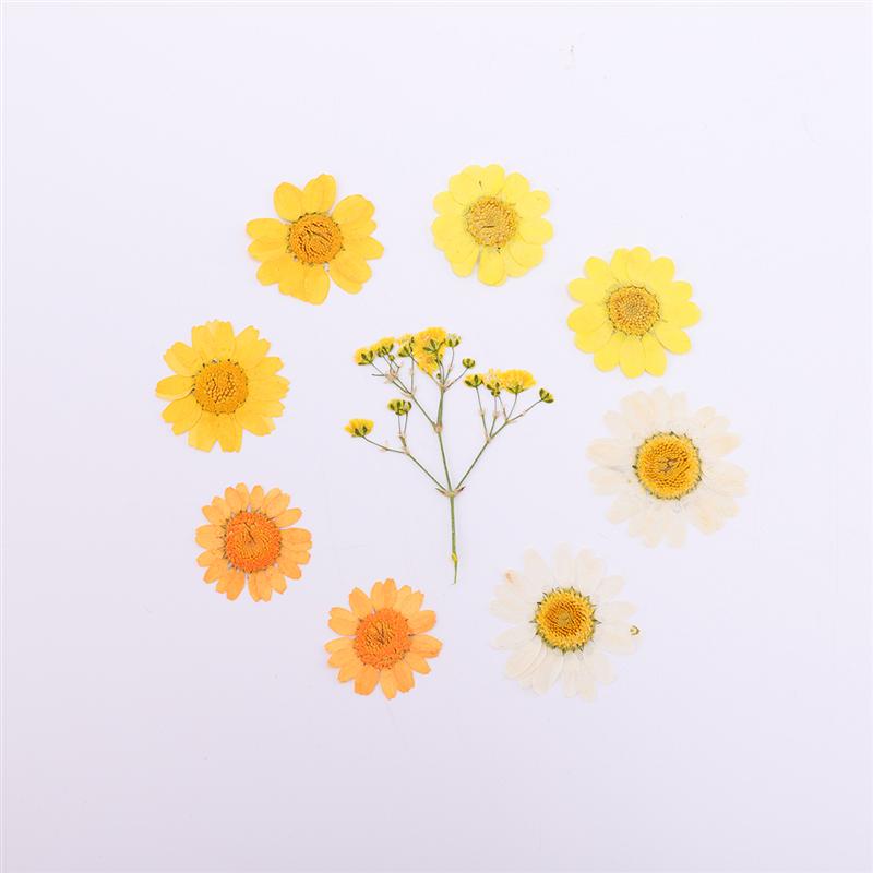 2 Sheets/Total 20pcs DIY Pressed Flowers Sticker Dried Leaf Flowers Plants Patches for Crafts Making (Orange and Yellow)