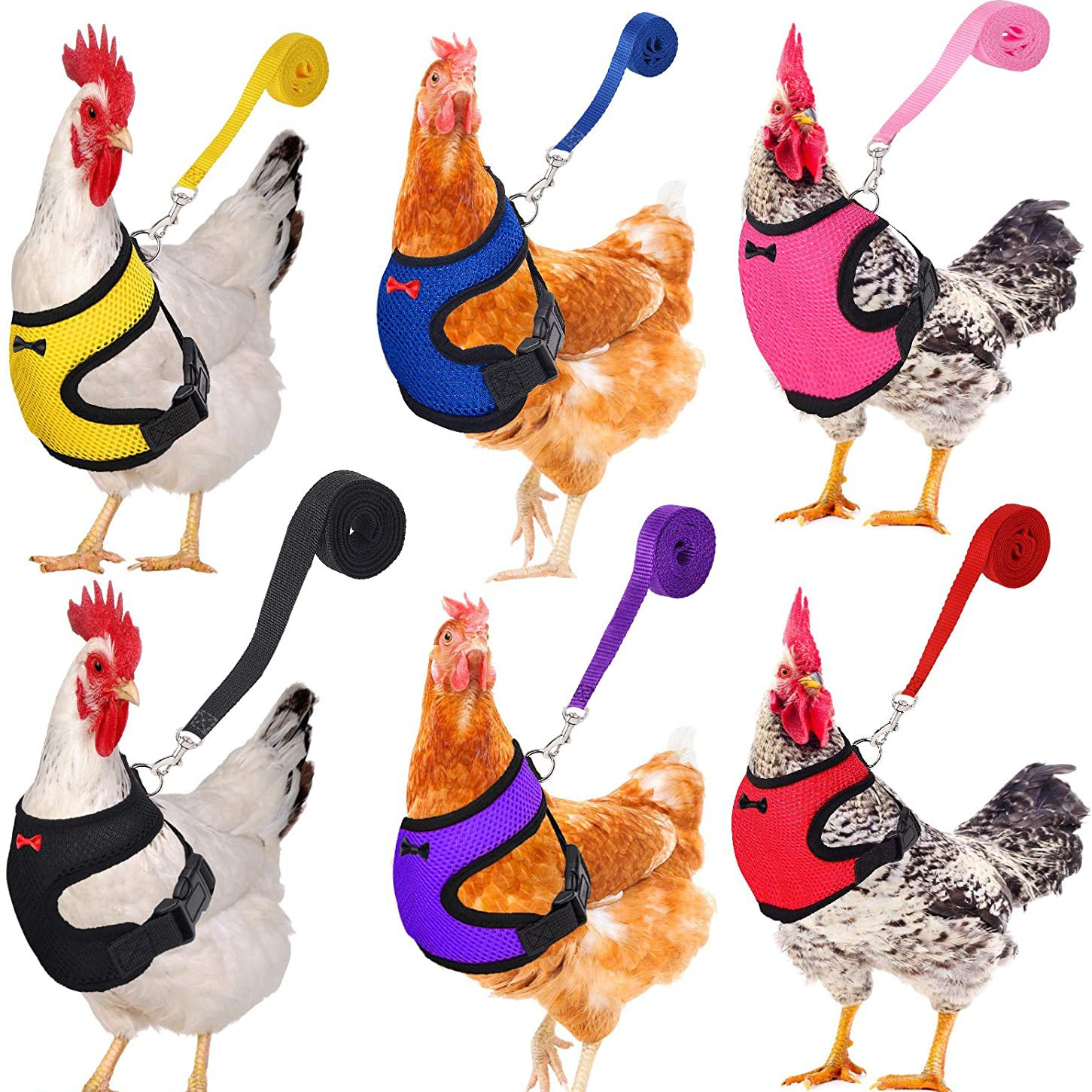 Gilet à la pour poulet et canard, ceinture pour poule, harnais pour animaux de compagnie, colliers assortis avec nœud, laisse confortable, respirant, fournitures pour volaille
