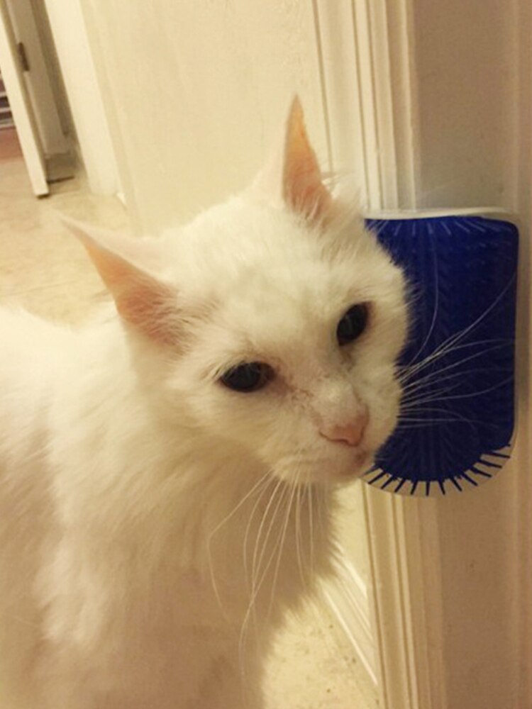 Kattenborstel kattenkam katten zelftrimmer kam plastic dierenbenodigdheden zwart/grijs/groen/blauw kattenmassageapparaat