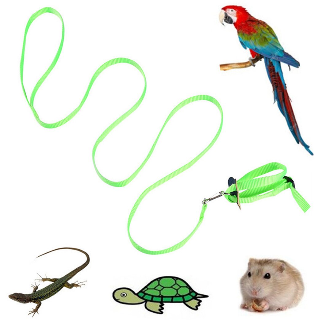 1 pièces harnais pour oiseaux laisse Nylon réglable perroquet harnais laisse fournitures pour oiseaux perroquet oiseau AntiBite en plein air harnais de vol: Green