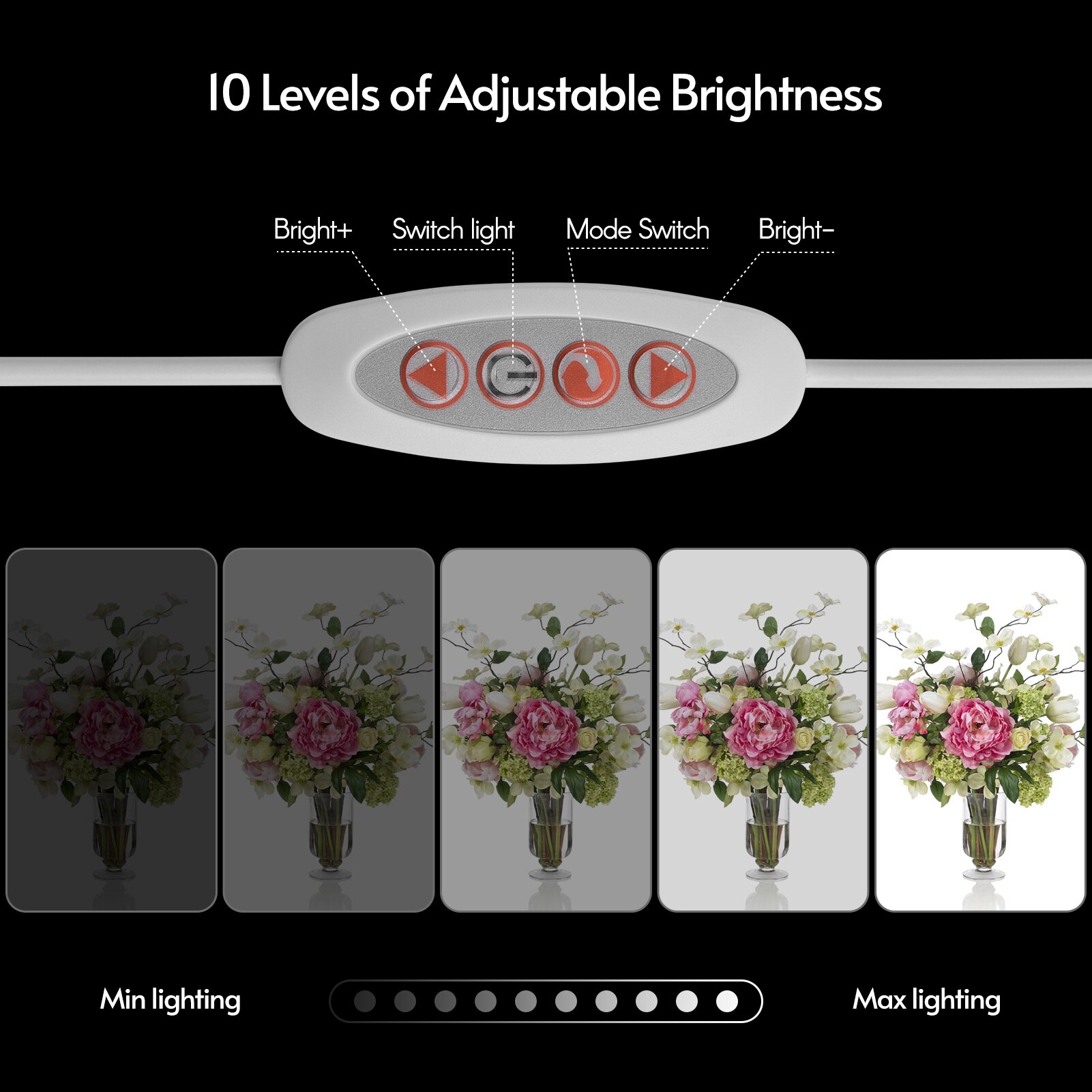 Boîte à lumière de Studio Photo pliable, tente, 3 Modes d&#39;éclairage, éclairage annulaire LED avec 6 couleurs d&#39;arrière-plan pour la photographie de produits, bijoux