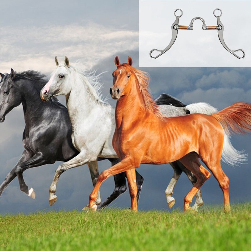 Stainless Steel Snaffle Bit Horse Bits Western Snaffle Bits for Horses Coronet Mouth Training Bit with Copper Port