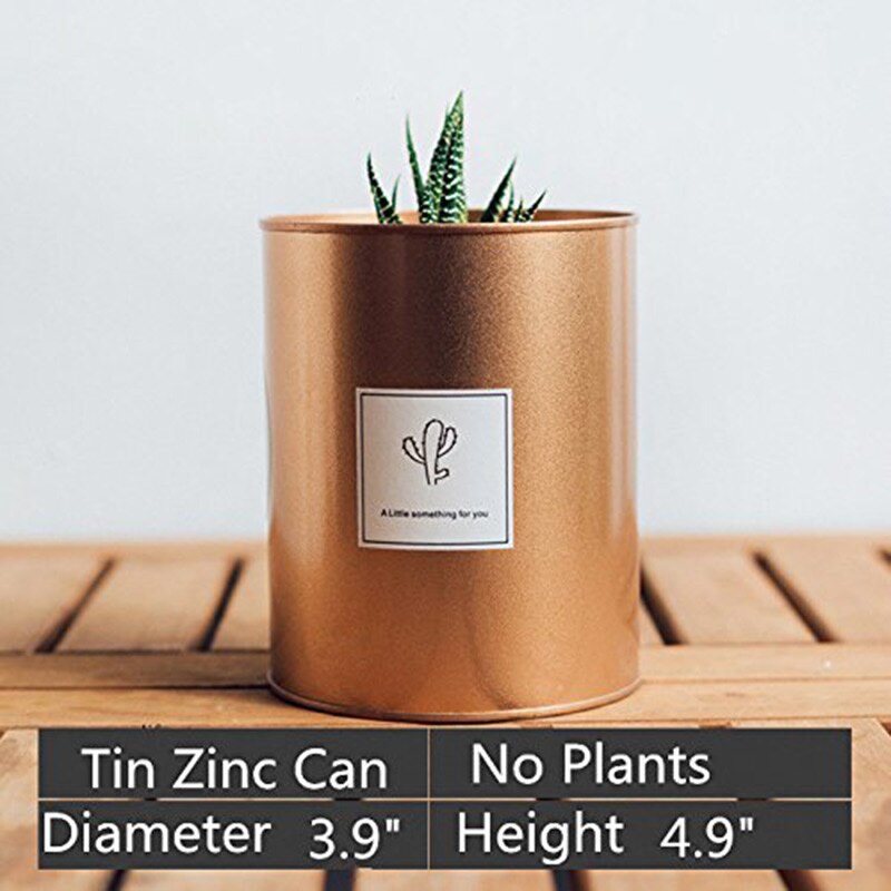 Maceta de Metal para jardín, maceta de hierro suculenta, contenedor de almacenamiento, maceta decorativa para jardín, flor Artificial, oro rosa, plata, negro, 27: Rose Gold 12.5CM