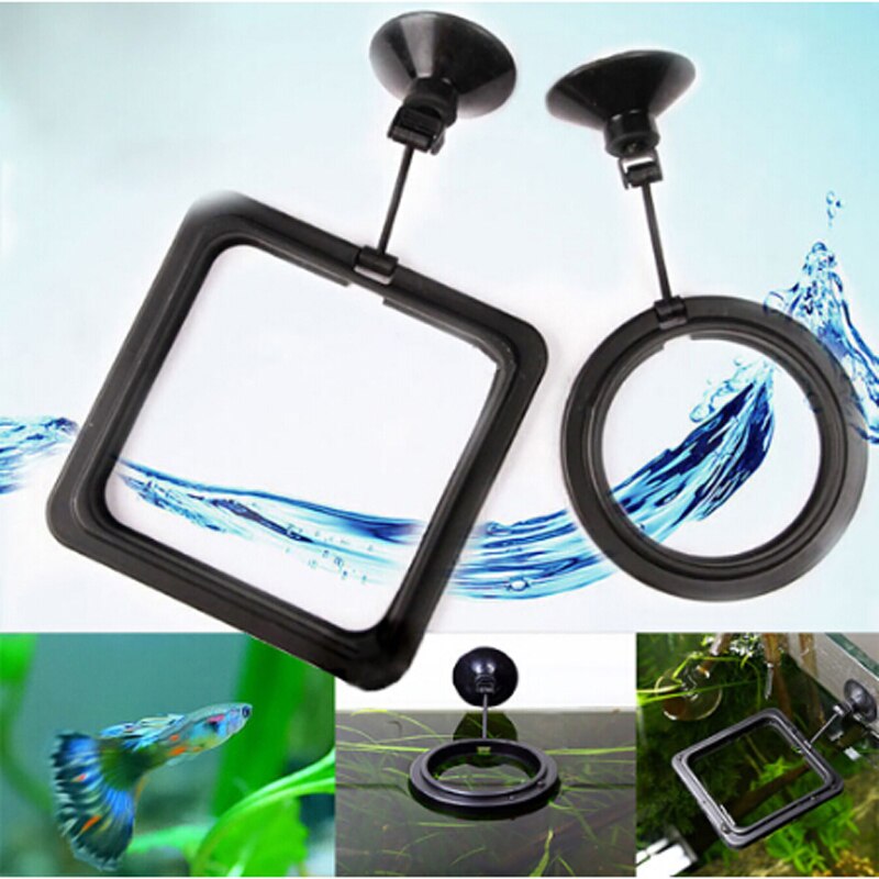 WFeeding Ring Fish Tank Station Floating Food Tray Feeder Square Circle Accessory Water Plant Buoyancy Suction Cup
