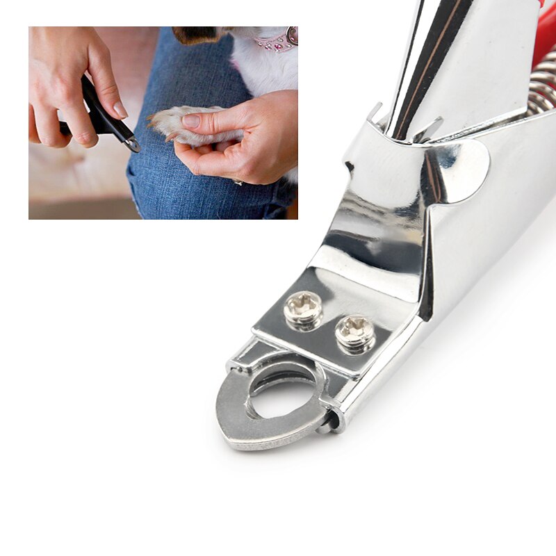 Nagelknipser für große Hunde, Klaue, Welpe, Katze, Zehen, Pflegewerkzeug, Trimmer, Katze, Kaninchen, Pfote, Tierschere