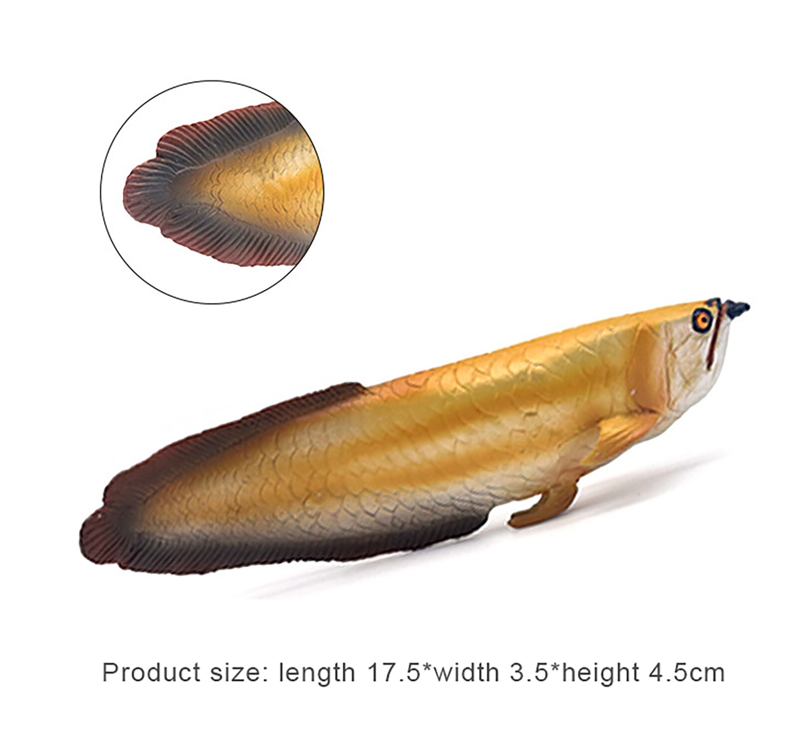Süßwasser Chinesische Stör Arowana Fisch Simulationsmodell Spielzeug - Realistisches Tierfigur