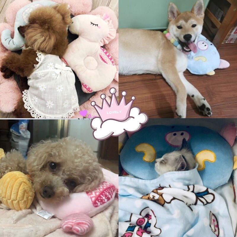 Kæledyrspude kat og hund sovepuder specielle puder bamse pomeranian hunde forsyninger hundemåtte hvalpe sengemåtter dyr