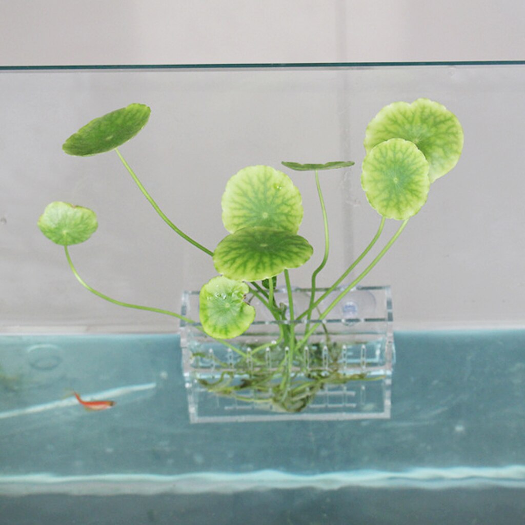 Water Planten Aquascaping Pannenlap-Aquarium Tank Aquatische Waterplanten Cup