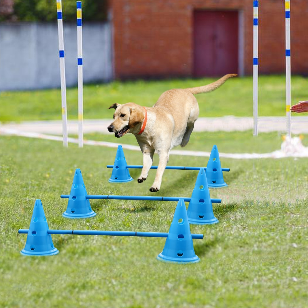 3 sæt udendørs kæledyr hund træningsudstyr hund træningstræning springe indsatser sportshunde smidighed udstyr kæledyrsforsyninger