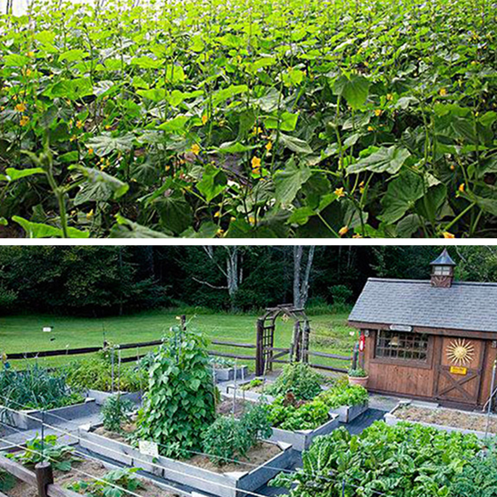 Outdoor Durable LCD Display Smart Irrigation Controller Watering Timer Garden Supplies irrigation controller smart garden water