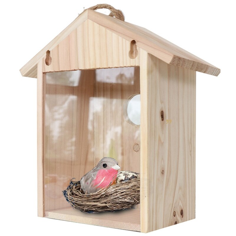 Grande Mangeoire à Oiseaux Avec Ventouses Extra Puissantes