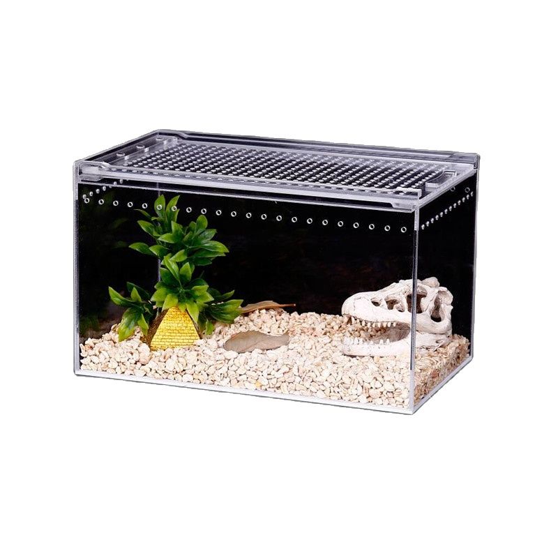 1PCS Crawler Box Acrylic Spider Ant Lizard Horned Frog Tortoise Gecko Feeding Box Reptile