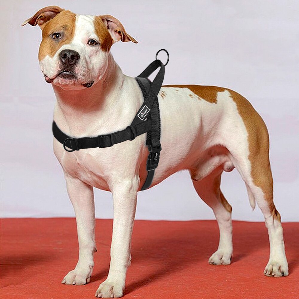 No Pull Dog Harness Adjustable Breathable Step In Walking Pet Mesh Harnesses for Medium Large Dogs Pitbulls Rose Red Black
