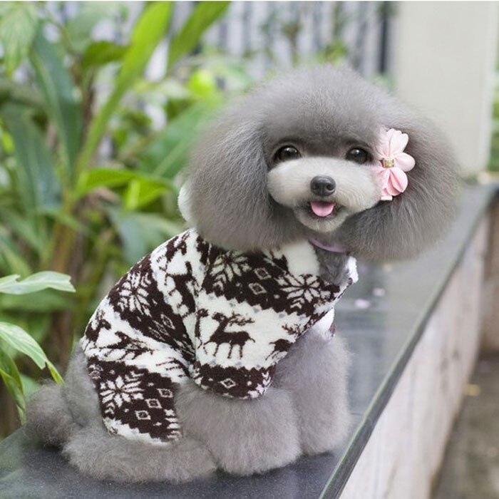 Transer-Sudadera con capucha para perro, ropa de perro mascota cálido, Mono para cachorro, abrigo con capucha, sudaderas con capucha para perros, ropa para perros 2019P30