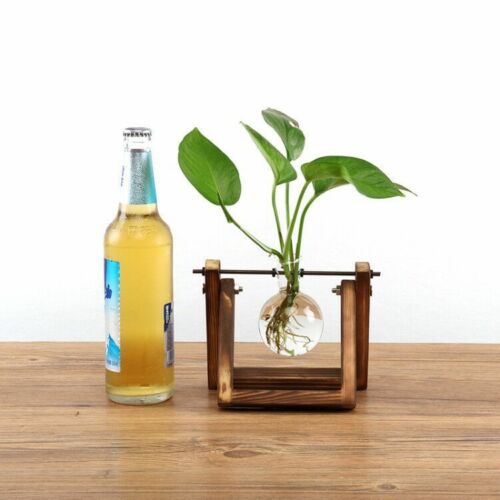 soporte de madera vidrio terrario contenedor hidropónico maceta para flor florero de mesa DIY Home Office decoración de boda