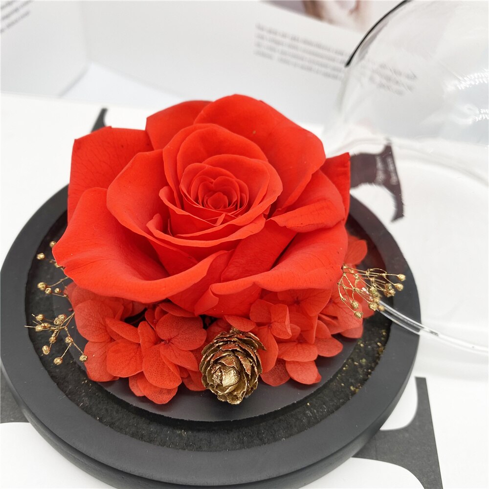 La belle et la bête Rose éternelle en flacon dôme en verre pour saint valentin décoration fête de mariage fête des mères