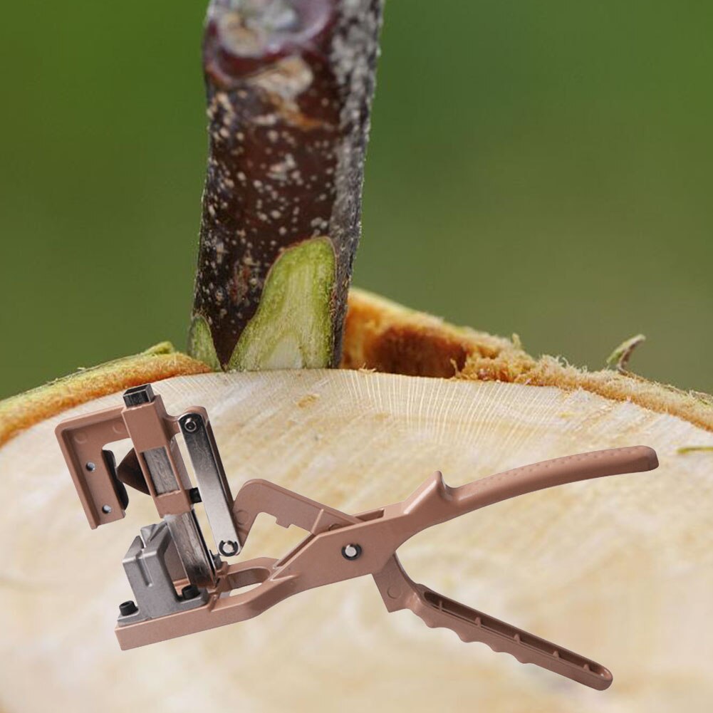 Nursery Garden grape vine Graft Tool Cutter Secateur pruning plant Cut floristry Seedle Shear pruner Scissor Branch Fruit Tree