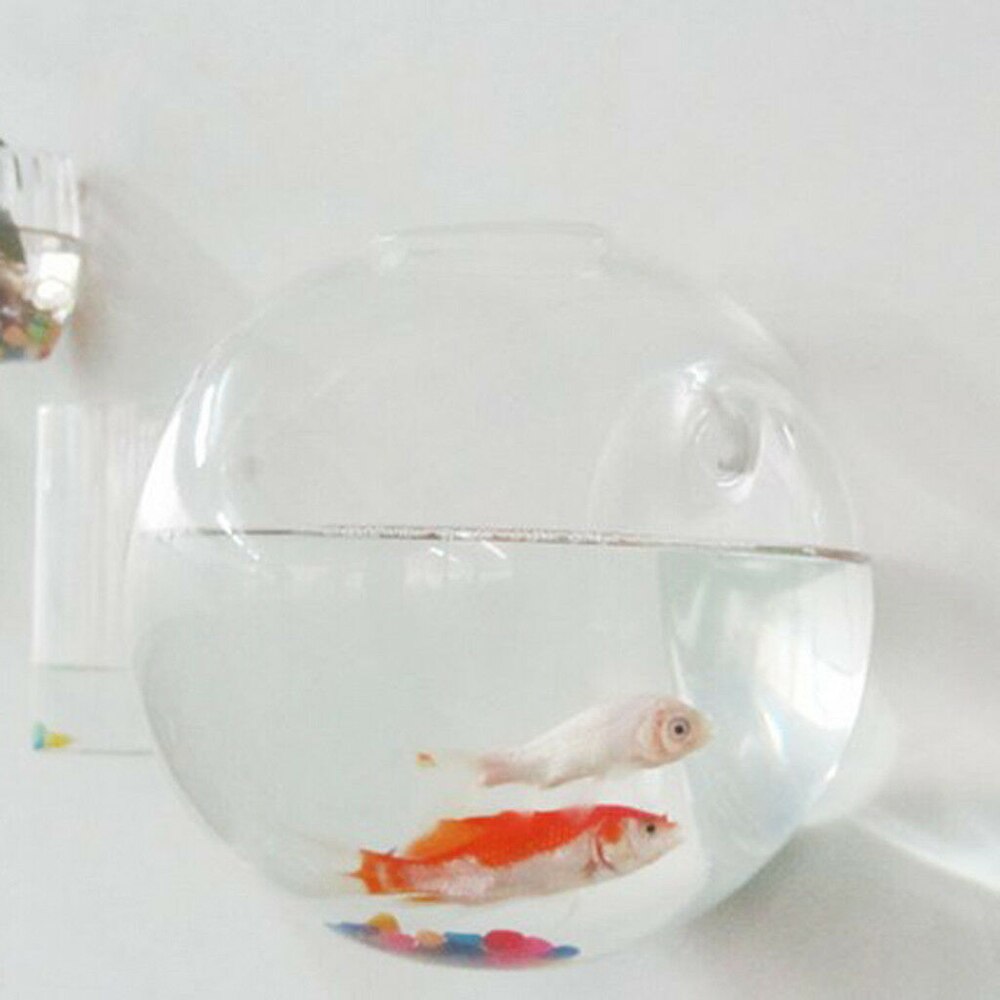 Wyczyść szklana wisząca wazon naścienny akwarium szklany wazon kula doniczka akwarium pojemnik narzędzia ogrodowe