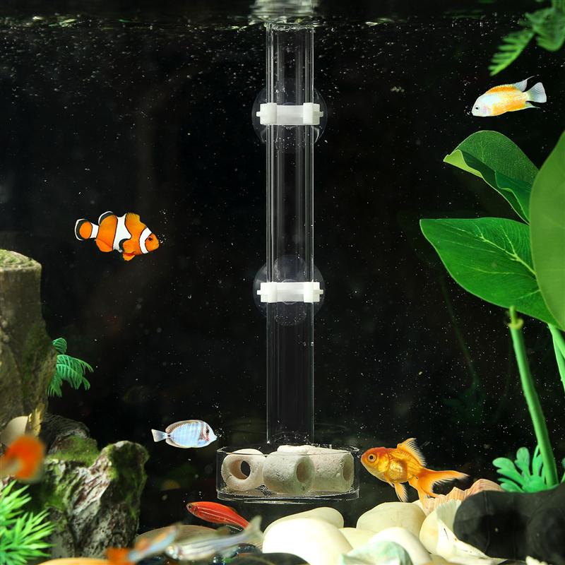 Solid Clear Acryl Gemonteerd Garnalen Feeder Buis Lade Voor Fish Tank Aquarium Crystal Garnalen