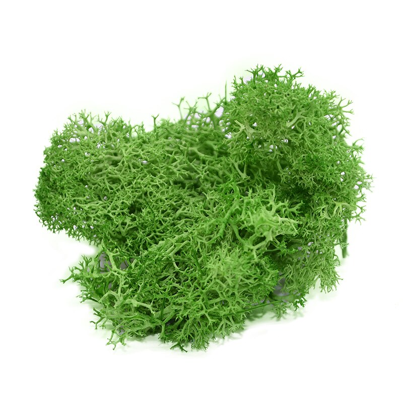 40g kunstig grønn plante mose diy bakgrunn vegg hage hjemmedekorasjon mini mikro landskap tilbehør: B08