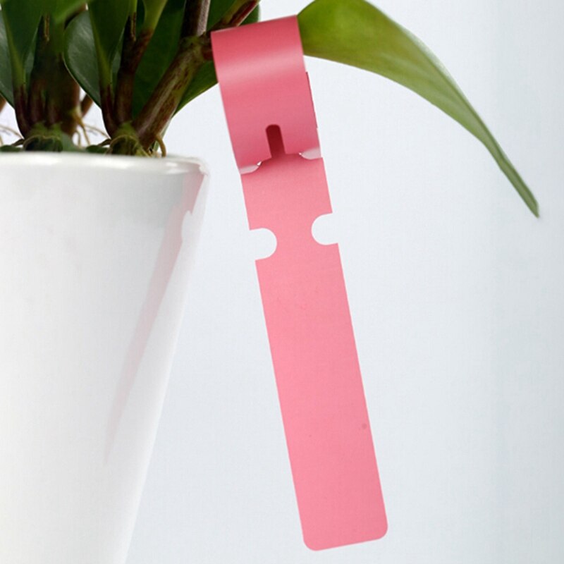 100PCS Gardening Garden Hang Tag Label Hanging Tree Seedling Plant Fruit Trees Signs Prompt Card Classification Tool