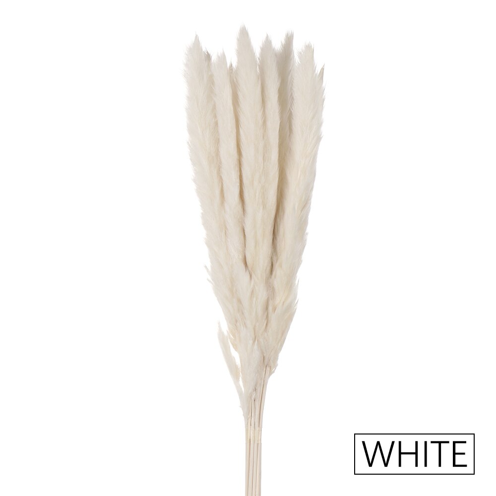 15/25 sztuk trzciny naturalne pszenicy kwiat bukiet suszone Pampas ślubny kwiat bukiet bukiety Bulrush dla Home Decor materiały ślubne: 15PCS-white