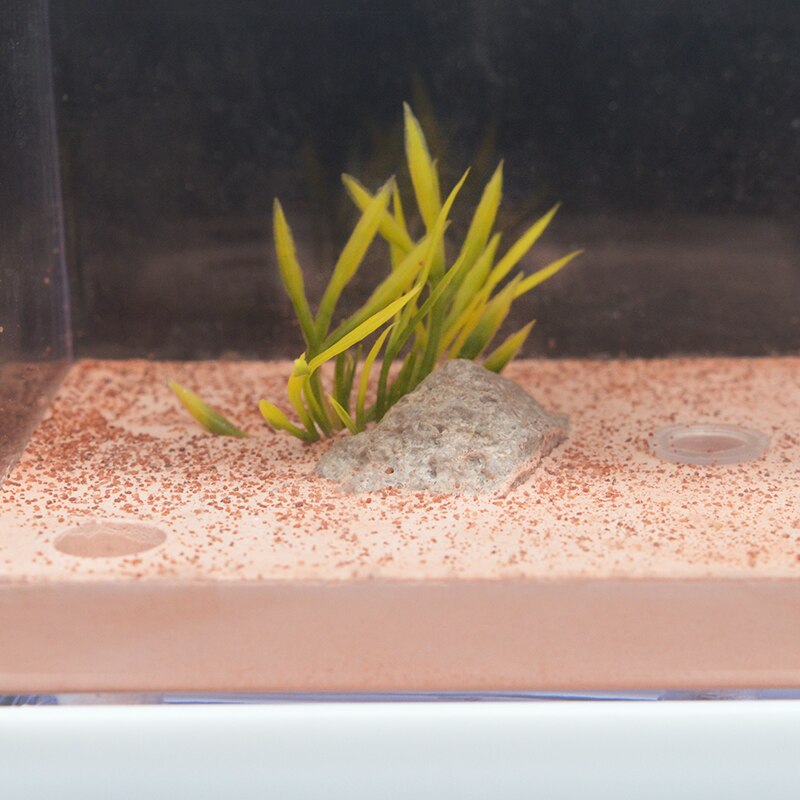 Grote Mier Nest Insect Kasteel Mier Boerderij Met Voeden Gebied Met Landscaping Decoratie Anthill Ecologische Workshop 10*8*16Cm