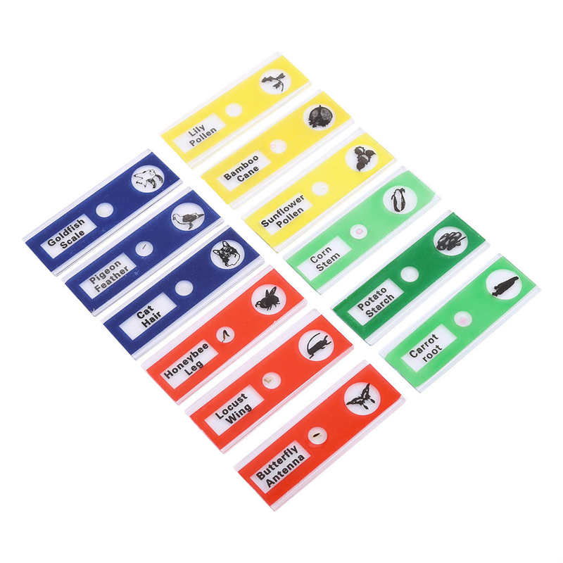 12pcs Plastic Prepared Microscope Slides Animals Insects Flowers Plants: Purple