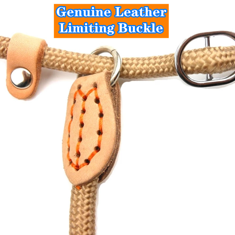 Laisse en Nylon pour chien 8/14mm, corde tressée, robuste, réglable, accessoire d'entraînement pour animaux de compagnie, pour petits et grands chiots