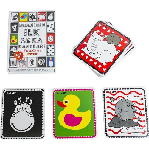 Baby's First Intelligence Cards (Flash Card)