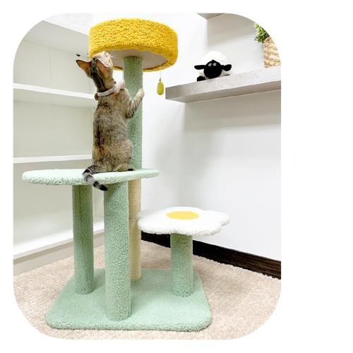 Katten speelhuis - Krabpaal kopen? | Korting tot 73 Katten speelhuis - Krabpaal kopen? | Korting tot 73