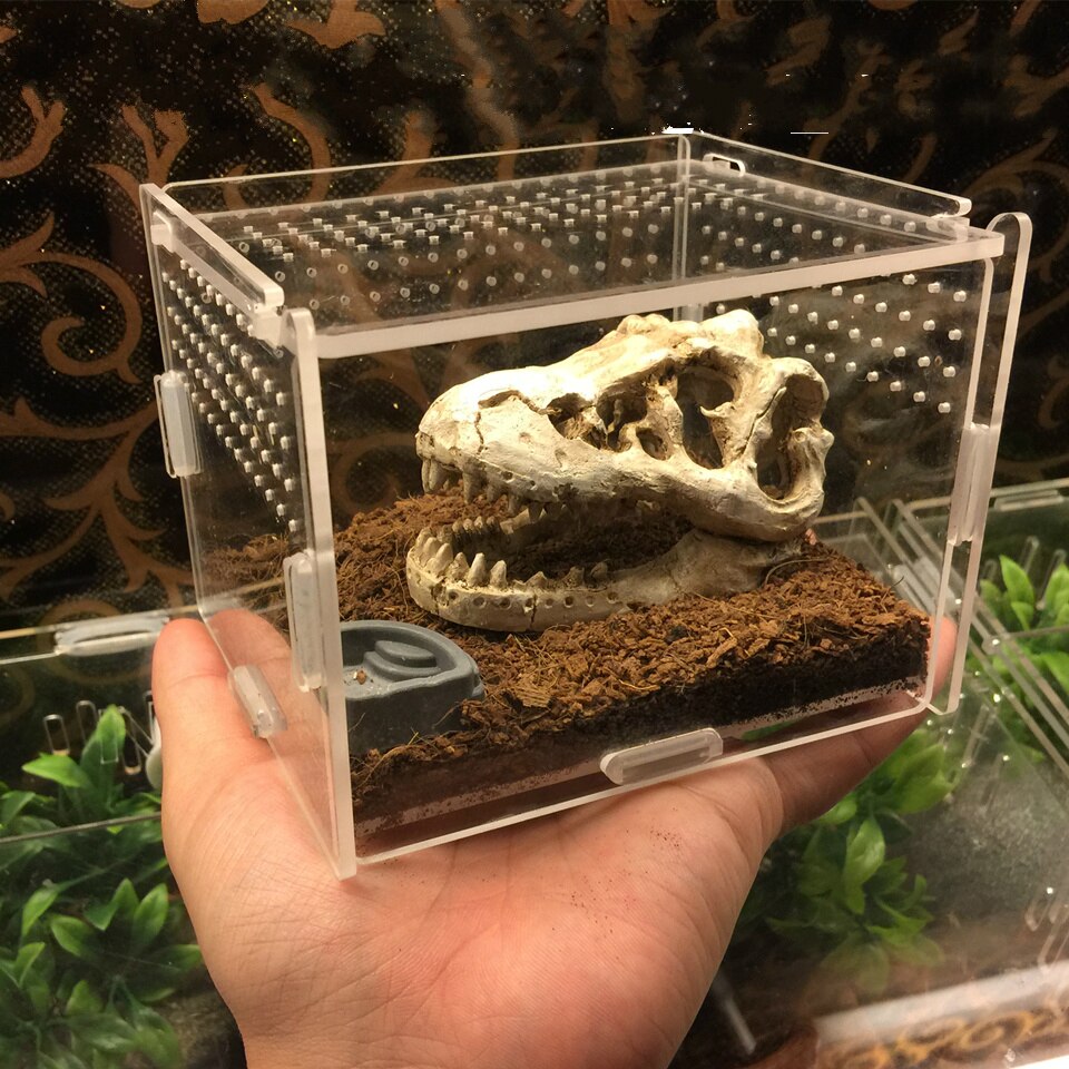 Acrylic Insect Cage with Accessories Spider Lizard Reptile Breeding Box Reptile Terrariums Reptile Home Box Gecko Tortoise House
