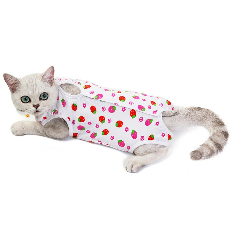 Cat clothes Cat costume Cat supplies ProtectionCat... – Vicedeal