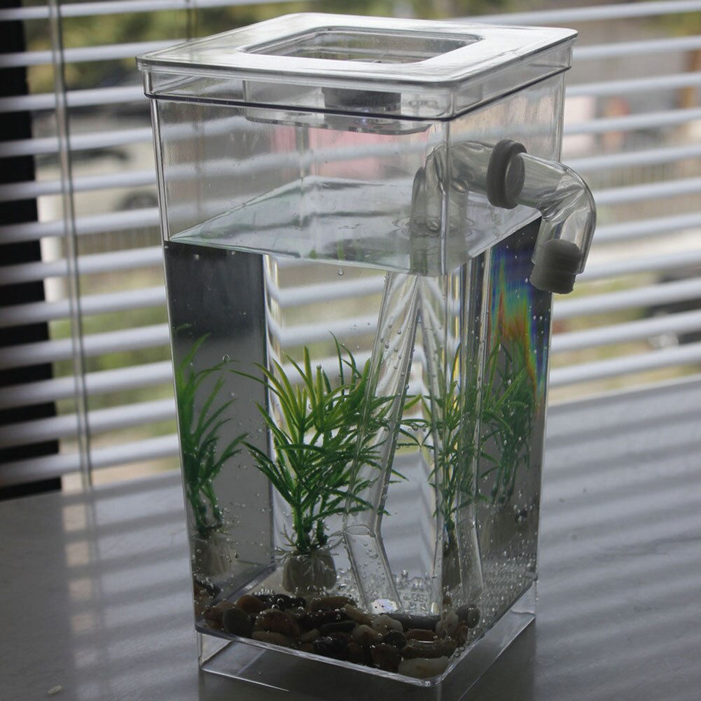 Desktop sjovt sæt økologisk akvarie akvarium selvrensende akvatiske kæledyrsartikler boligindretning guldfisk tank mini græs