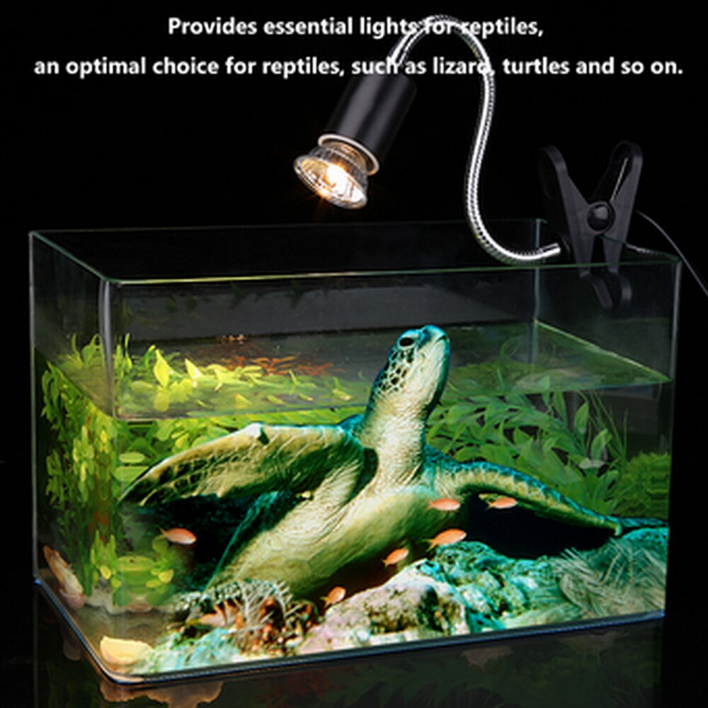 Mini ampoule solaire en céramique à infrarouge pour Reptile, ampoule chauffante pour animaux de compagnie, incubateur de Reptiles, lampe solaire au Calcium, UVB