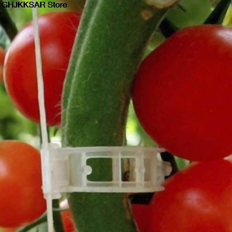 100 stk plast plantestøtte klips klemmer til planter hængende vin have drivhus grøntsager tomat klips
