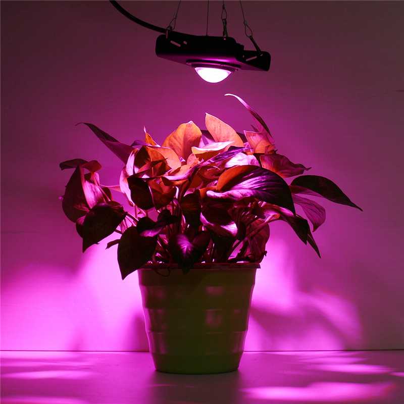 3000W COB LED Grow Light Full Spectrum 4000K for Indoor Outdoor Hydroponic Greenhouse Plant Growth Lighting lamp Waterproof