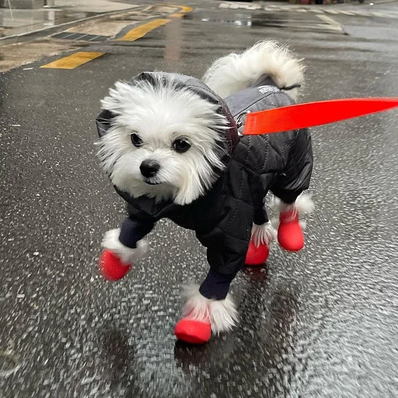4 Uds. Zapatos de lluvia impermeables para Gato, Botas de lluvia antideslizantes de silicona para perros, botas de goma para exteriores para perros pequeños, medianos y grandes