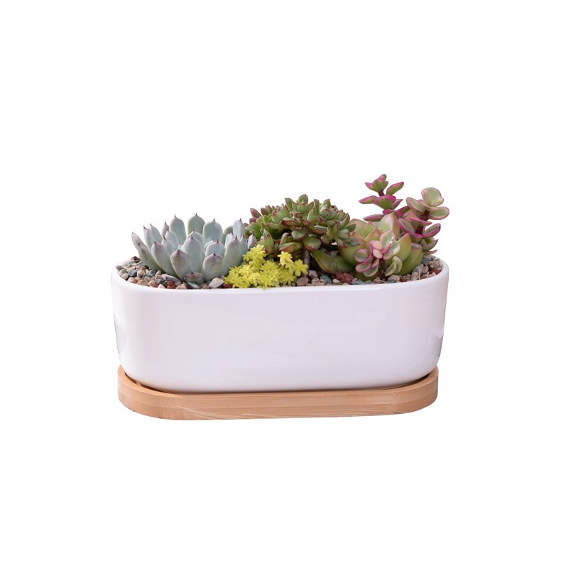 1 Set Minimalist White Ceramic Succulent Plant Pot Porcelain Planter Home Office Decoration Christmas (1 Pot + 1 Tray)