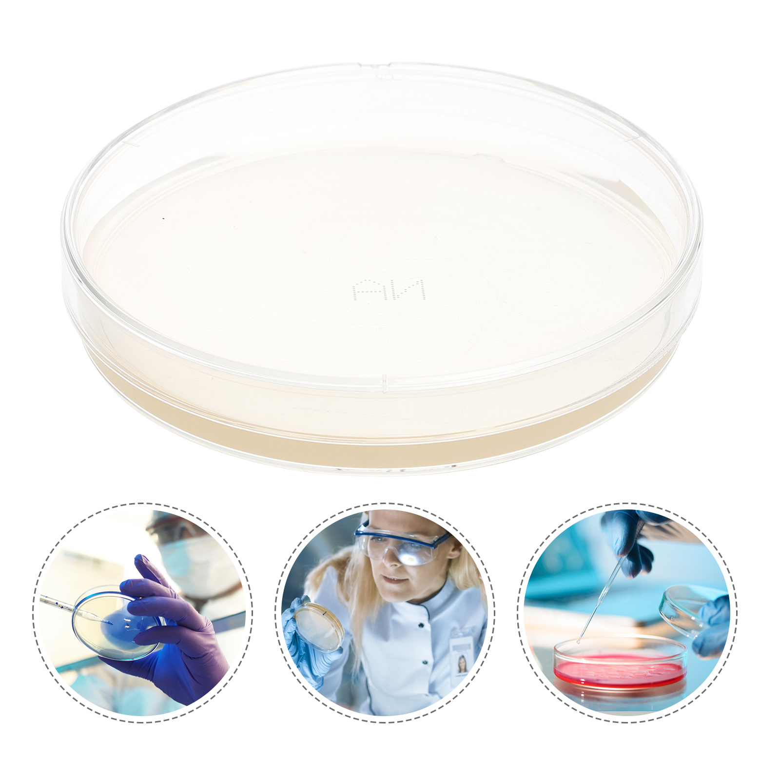 10pcs Petri Dishes with Agar Laboratory Agar Plates General Growth Medium: Default Title