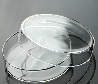 150mm glas petriskål med dækning klar og glat
