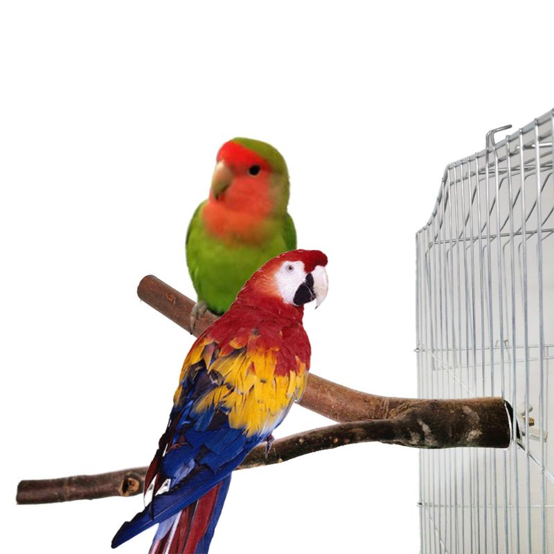 2 uds. De juguetes Natutal de madera para loros y pájaros, percha rugosa para pájaros, soporte de juego con jaula, plataforma B85C