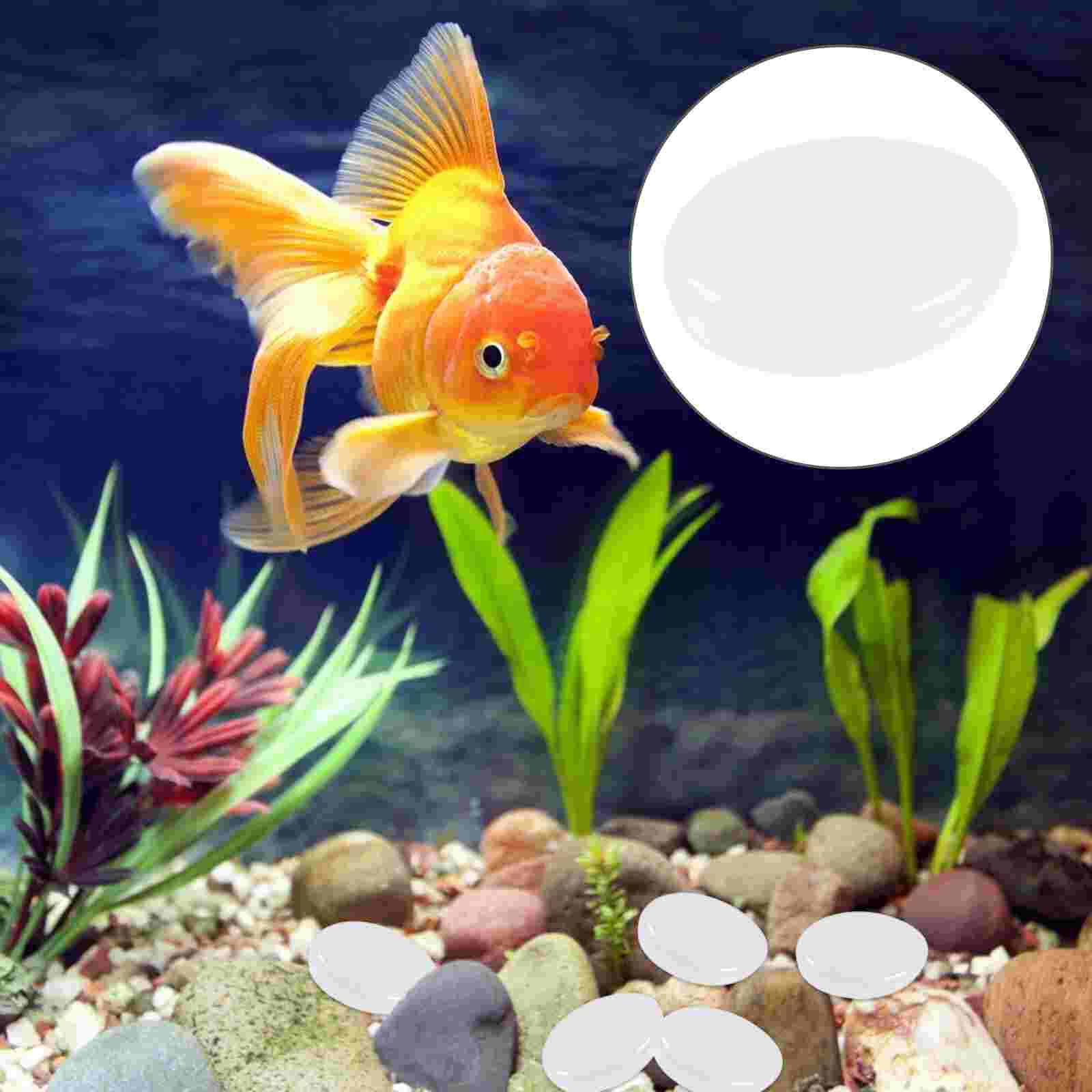 100pcs Natural Decorative Polished White Pebbles Small Decorative River Stones