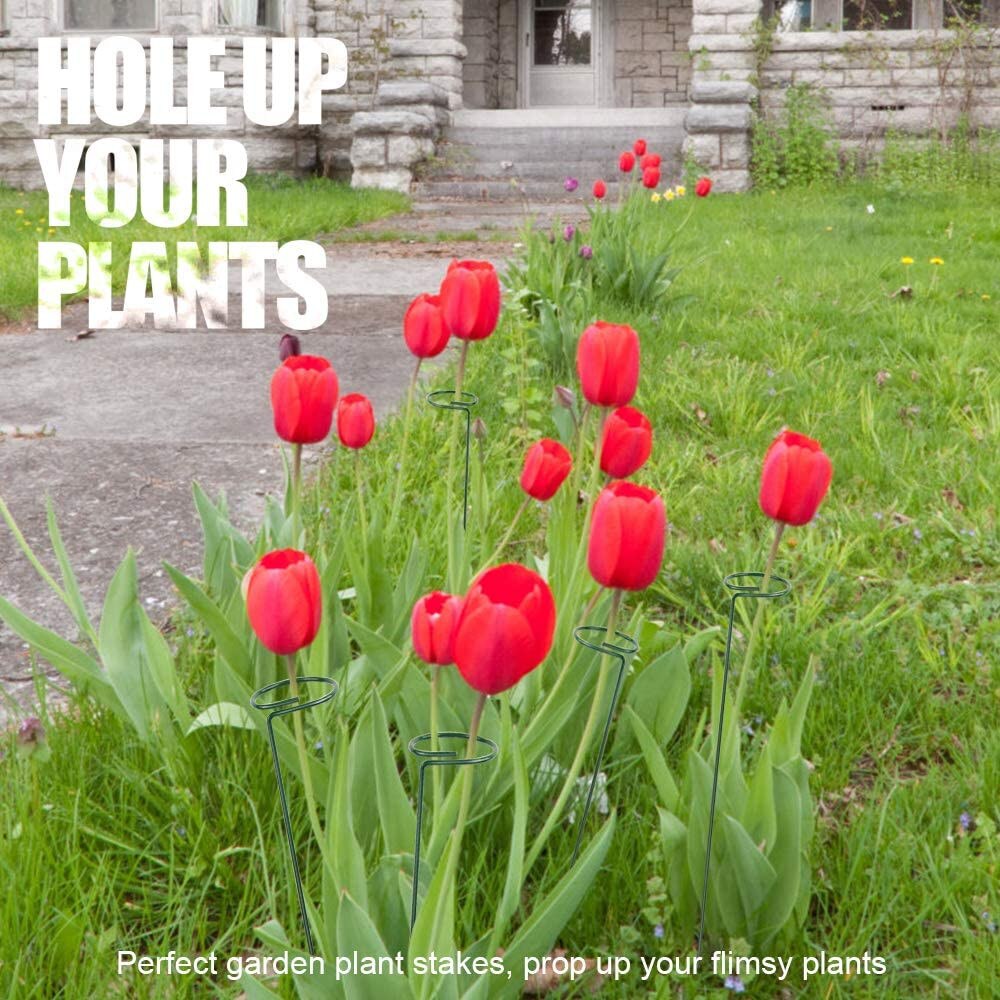 6 Pack Plant Ondersteuning Stakes, tuin Single Stem Ondersteuning Stake Plant Kooi Ondersteuning Ringen Voor Amaryllis Tomaten Orchidee Lelie Peonage