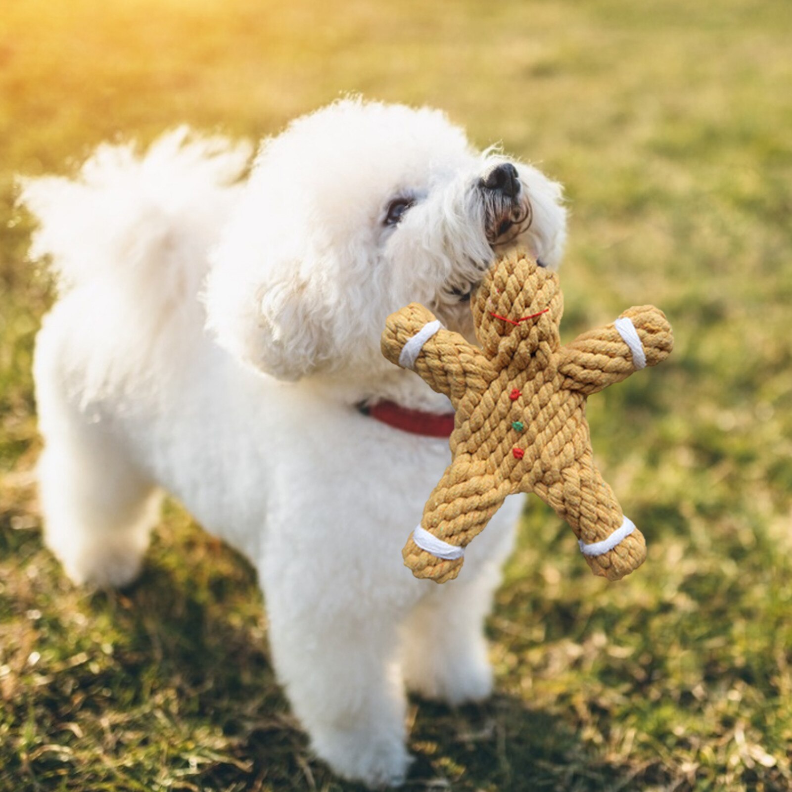 Dog Chew Toys Washable Gingerbread Man Cotton Rope For Dogs Chew Toy Chewing Rubber Toothbrushes Cotton Toys Plush Interaction