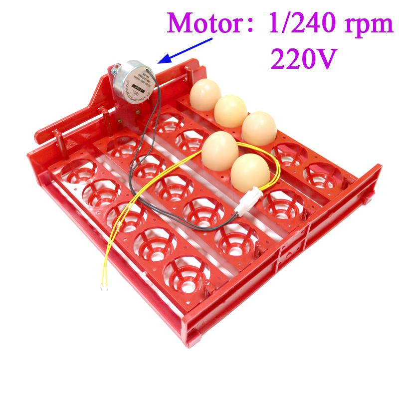 20 Eggs Incubator Turn Eggs Tray 220V/110V/12V Motor Chicken Eggs Automatic Hatching DIY Incubator Accessories Equipment 1 Set: Blue
