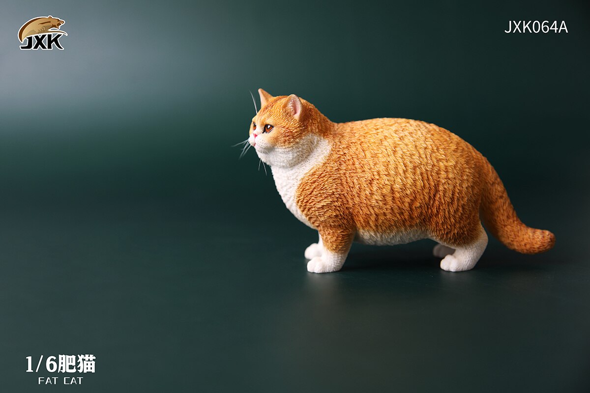 Jxk 1:6 Schaal Vet Kat Figuur Leuke Pet Animal Model Collector Kids Toy Desktop Decor Korthaar Kat Trendy Ornamenten: JXK064A