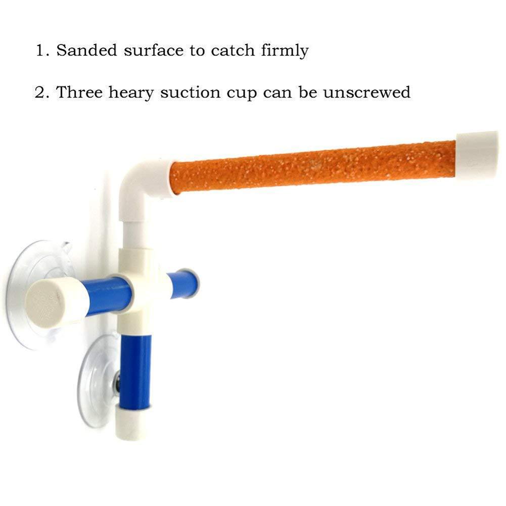 Parrot Stand Polished Bird Stick Toy Shower Stand Bath Supplies Rack Color Random