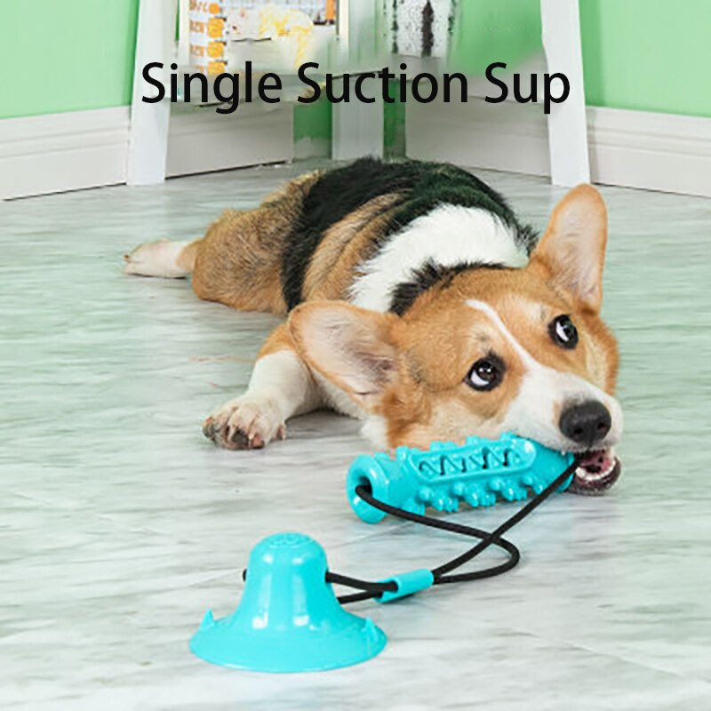 Tpr Hond Speelgoed Tandenborstel Kauwen Speelgoed Voor Honden Kleine Grote Puppy Speelgoed Sucker Speelgoed Tandjes Stok Speelgoed Hond Accessoires bijten Speelgoed: 1Suction Cup Blue