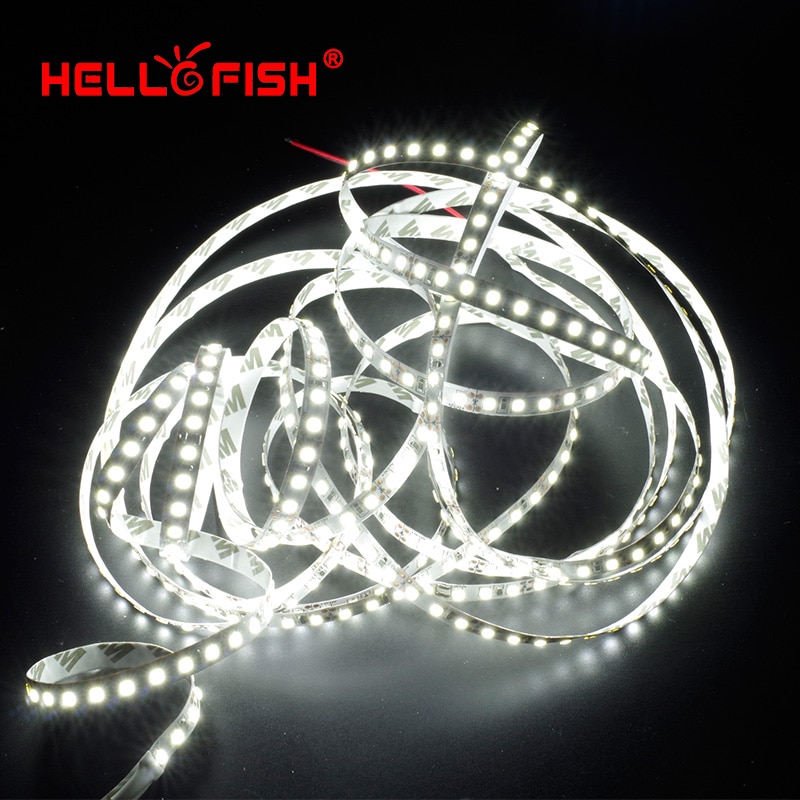 5 m 2835 LED Strip Single Layer PCB 600 Licht 2835 SMD 12 v Flexibele LED Tape Wit Warm Wit